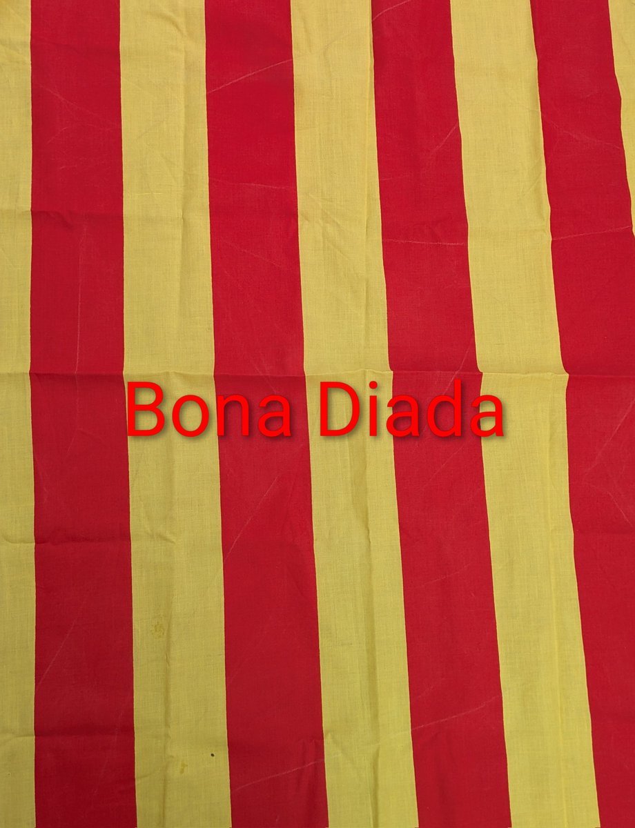 Caldes Groga (@caldesgroga) on Twitter photo 