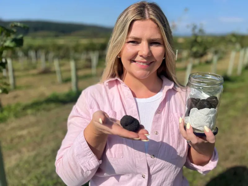 Posi_Feed's tweet photo. 🍄✨ A rare delicacy finds a new home!
As climate change reduces truffle harvests in mainland Europe, scientists at the University of Stirling say wetter Scottish summers are creating perfect conditions for this luxury crop. 
🔗 https://t.co/3jKxbv15Z1
#ClimateShift #PosiFeed https://t.co/0r2IlEZo0t