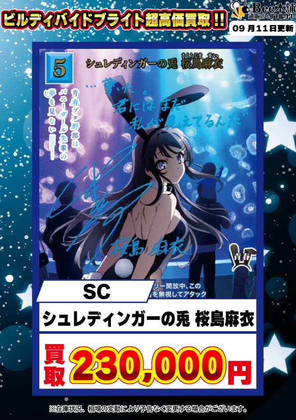 ビルディバイドブライト 青ブタ 桜島麻衣 SC | APPS-BICENTENARIO-PRD
