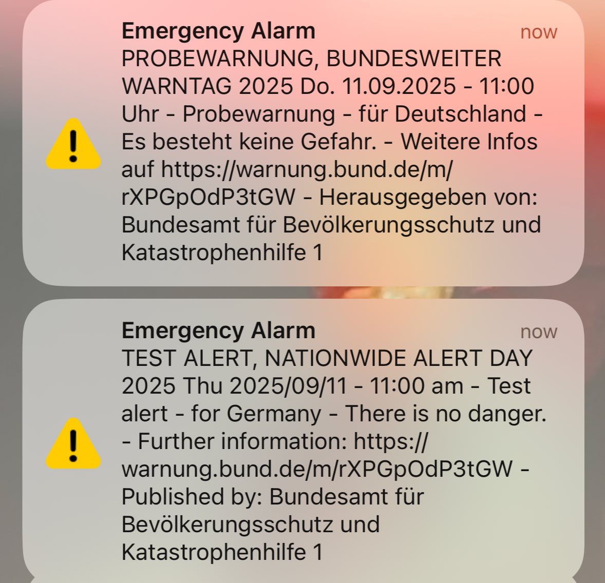 Red 🍓|-/ tweet media