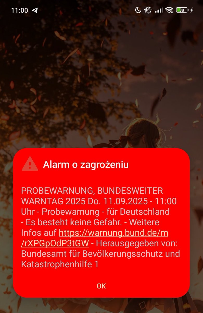 🕯Dziewczynka z kontraktami 🔥 tweet media