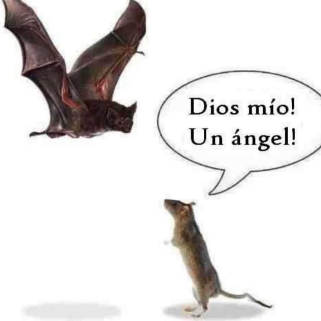 Ana_LaPatata (@ymuchosmemes) on Twitter photo 