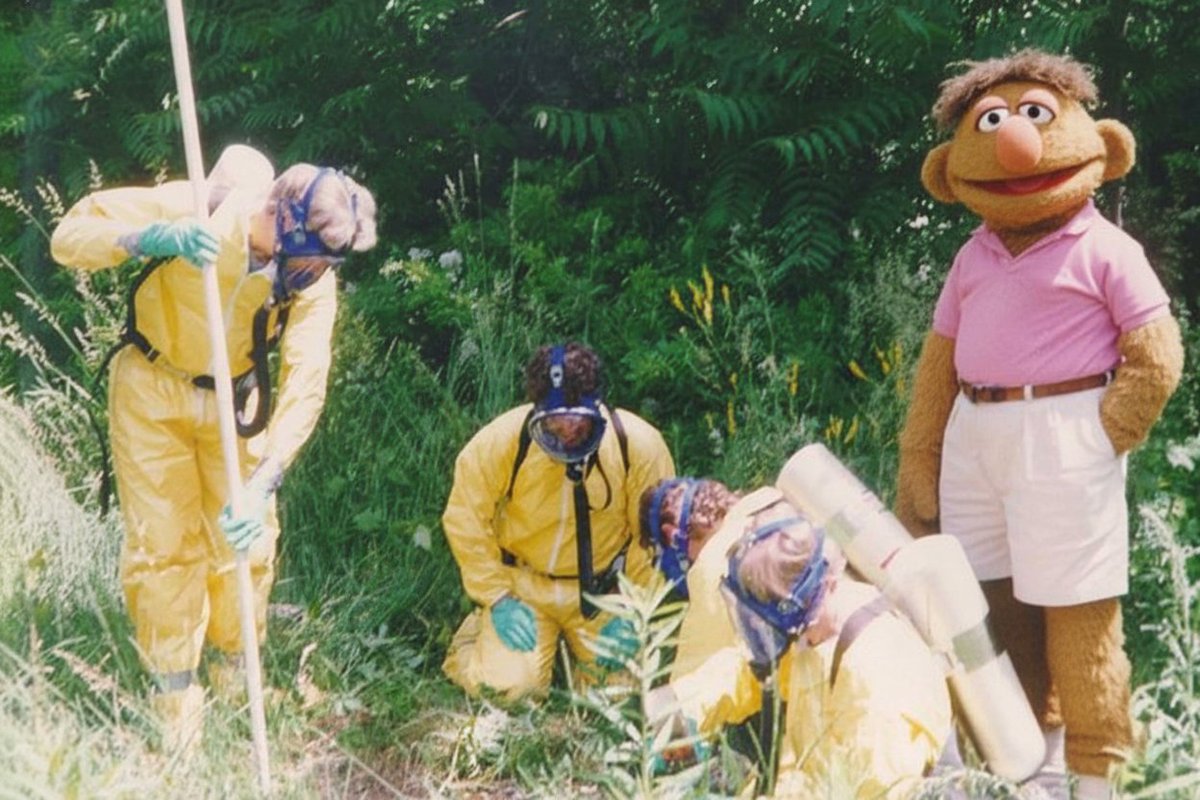 pinkshirtguy tweet media