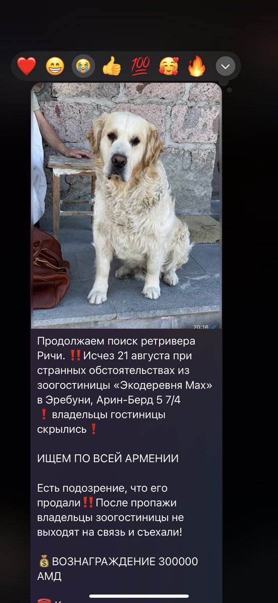 mniszech's tweet image. В каком же я ахуе с этой истории. 

Это буквально член семьи, который пропал, был продан или убит и вы абсолютно ничего не можете сделать, полиция не будет это расследовать, мониторить звонки, искать людей по gps и тд. Не представляю на какие стены бы я лезла и как сходила с ума