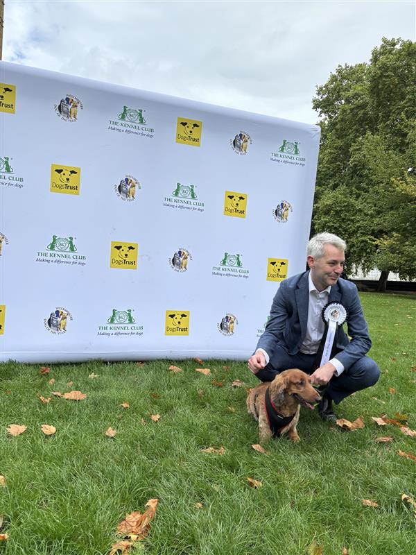DT_Pawlitical's tweet photo. Toffee, the Long-Haired Dachschund, is first in the judging ring with @WillForster for #WDOTY!
Toffee and Will love to go for adventurous walks together.
@KC_political https://t.co/vec8BKp8qy