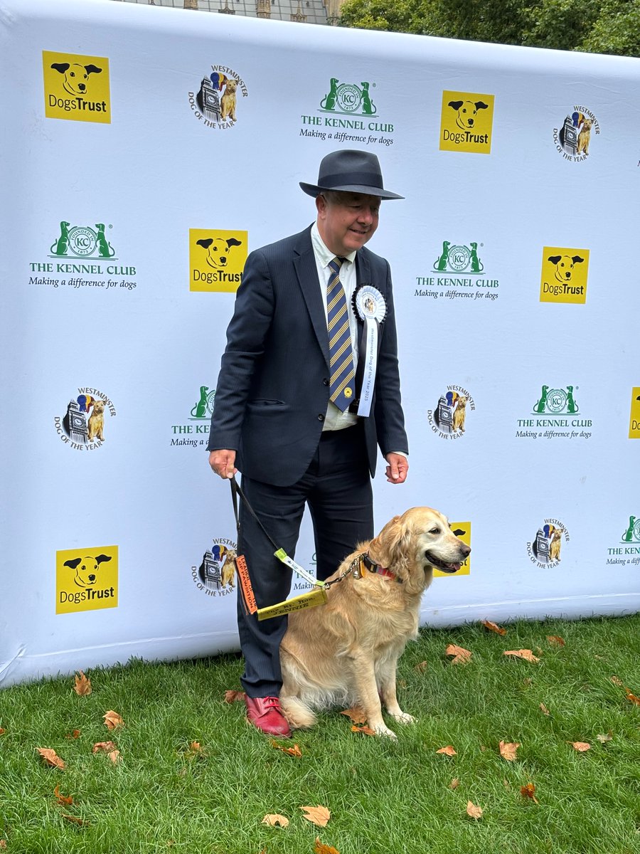 DT_Pawlitical's tweet photo. Now in the judging ring is Golden Retriever X Labrador @rthonjennie with @SteveDarlingMP!
Jennie brings affection and much blonde fluff to Steve’s household.
@KC_political #WDOTY https://t.co/Qo5848Wtub