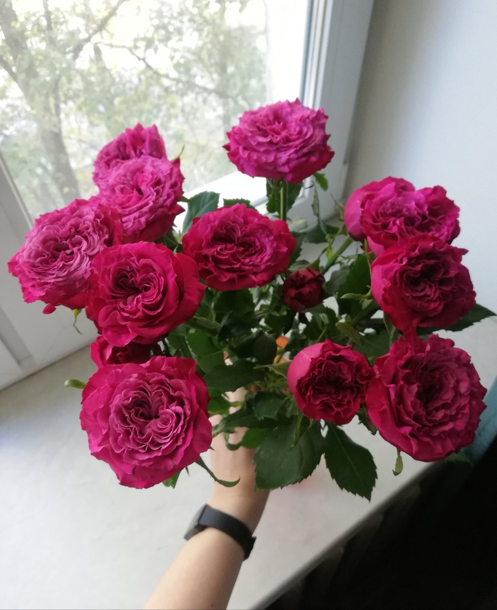 Ginger Art (@ginger_art_m) on Twitter photo Beautiful flowers from my lovely sister, I'm so touched 🥹🌹 Beautiful flowers from my lovely sister, I'm so touched 🥹🌹