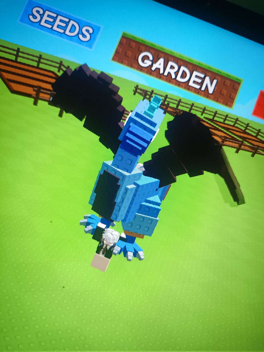 razenhiro's tweet image. wts inverted cockatrich!
base 2.19kg yah, age 47 otw barak 😋
20k aja yuks.. 
pensi, mw abisin invent!