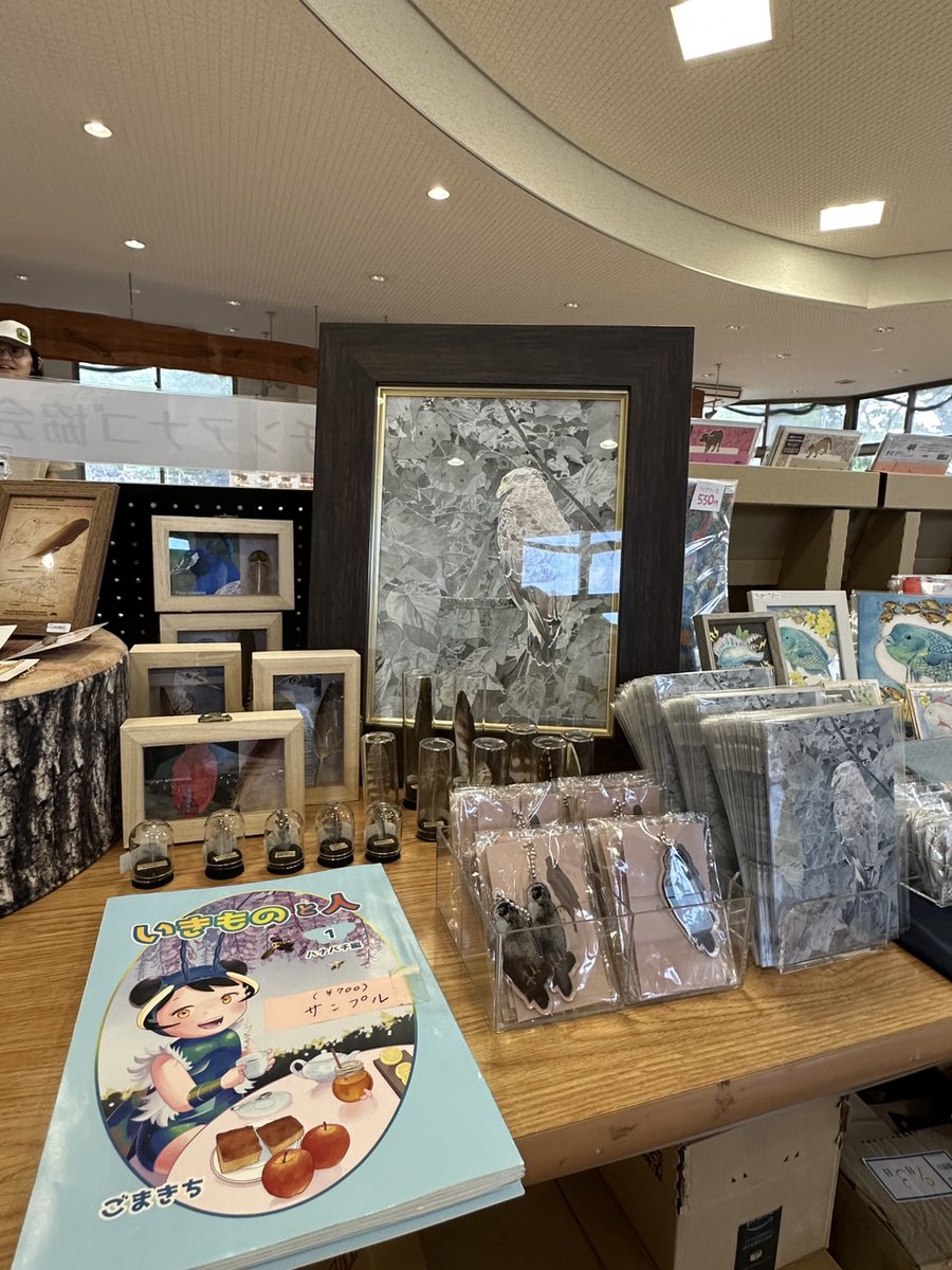 outesama's tweet photo. RP  わたし達のチーム出展も、土城先生がわたしの作品を搬入展示してくださいまして（わたしが先生をこき使い過ぎ）、展示したよ！と写真が来ましたよ！
琉球いきものづくし、開催は明日から。
よろしくお願いします！🙇

#琉球いきものづくし https://t.co/myFQ4TkQ9I