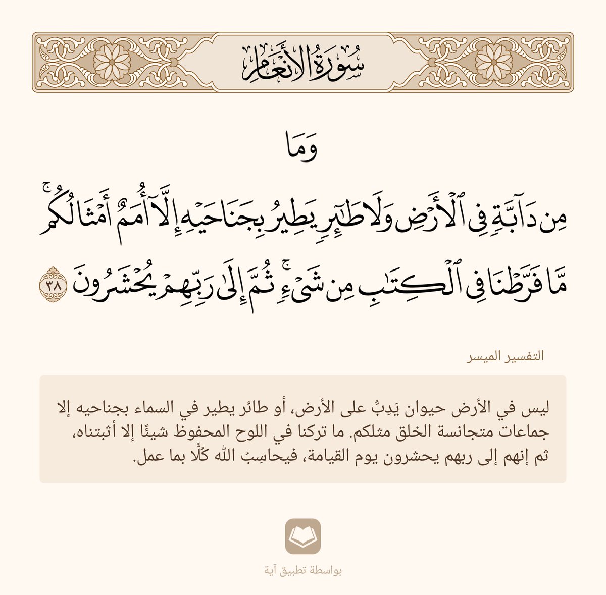 ﴿وَما مِن دابَّةٍ فِي الأَرضِ وَلا طائِرٍ يَطيرُ بِجَناحَيهِ إِلّا أُمَمٌ أَمثالُكُم ما فَرَّطنا فِي الكِتابِ مِن شَيءٍ ثُمَّ إِلى رَبِّهِم يُحشَرونَ﴾

 [الأنعام: ٣٨]

#نمير_البيان
#مجمع_الأدب