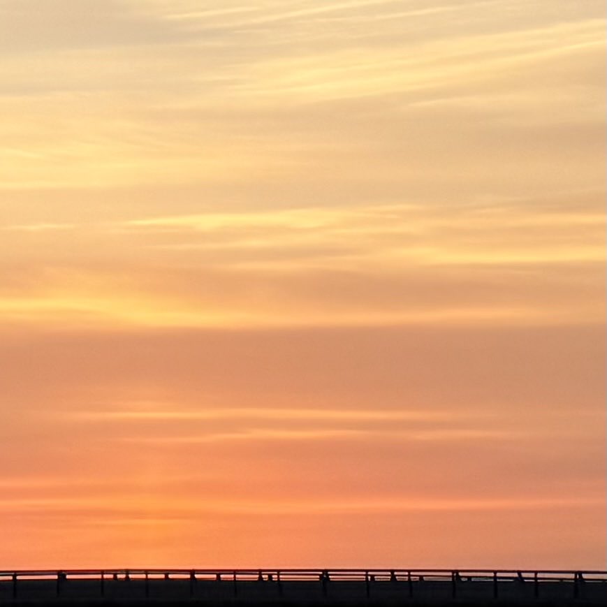 a Carmen Villar tweet media