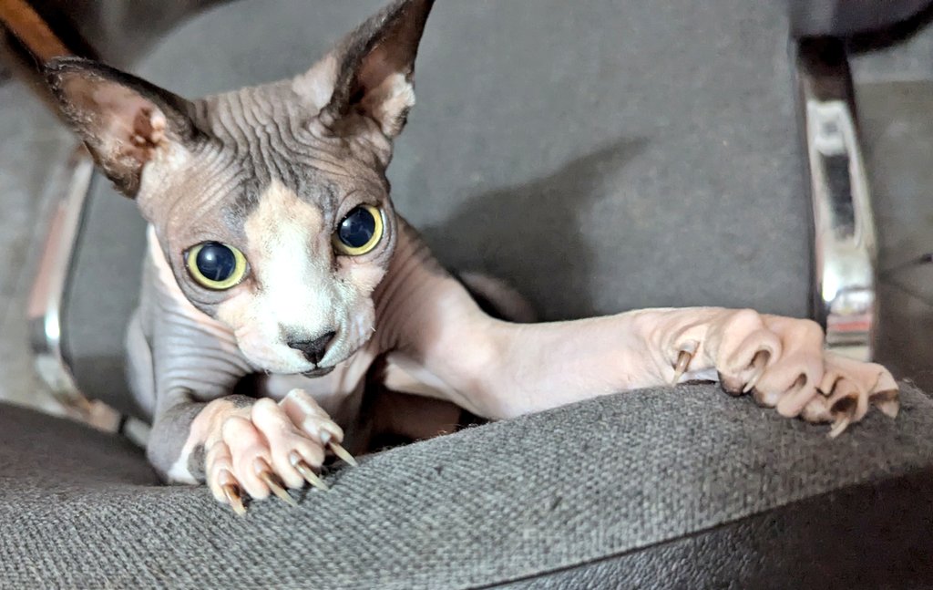 Показую #деруновийзвіт за четверту Мавку! 

Сьогодні поїдуть 🥹

Дякую вам і прошу ще по 10 гривнів, щоб купити зарядних станцій і блоків живлення і помогти очистити країну 😌

Дякую ❤️‍🩹

send.monobank.ua/jar/DsuhHHjra