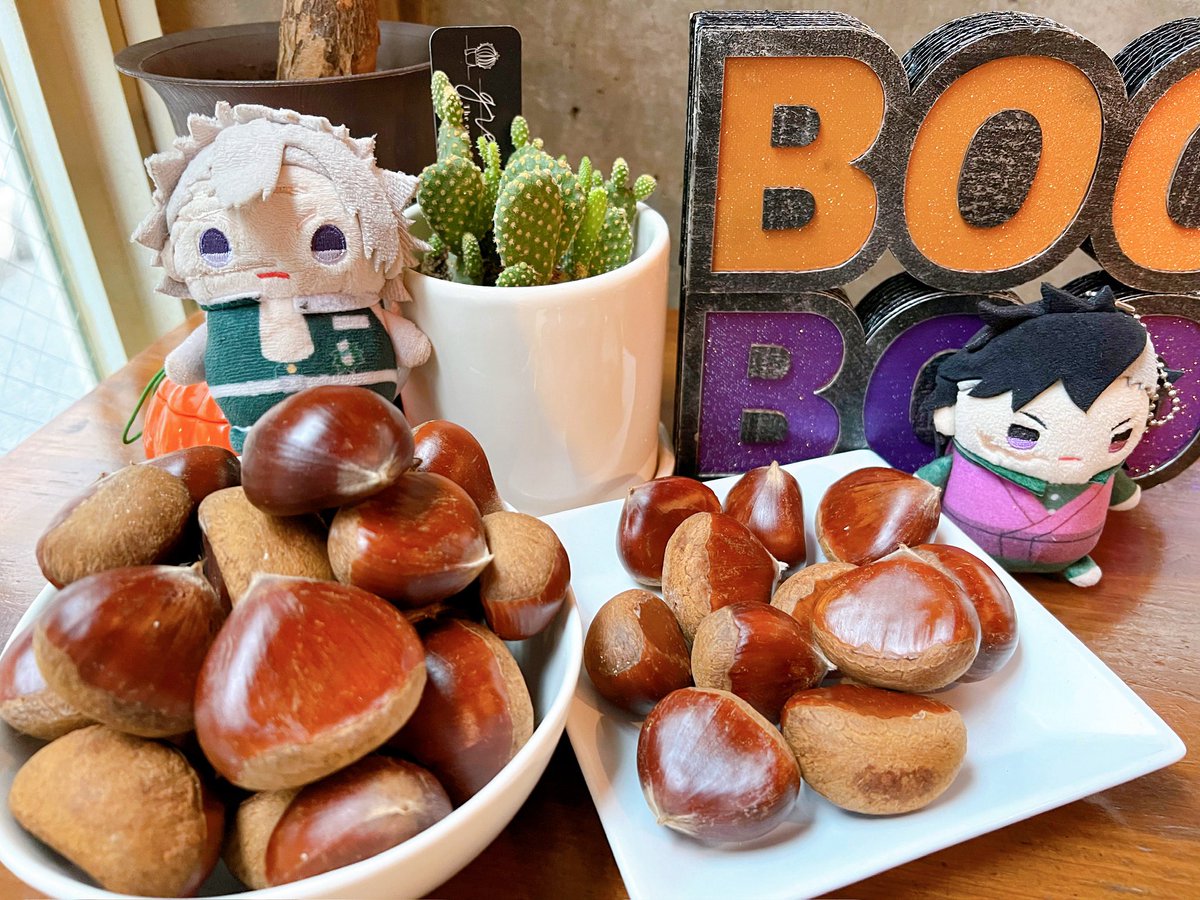 LAGOON ICE AKIHABARA tweet media