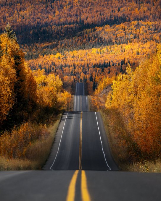 A straight road stretches through a forest with vibrant autumn foliage. The trees on both sides display bright orange, yellow, and red leaves. The landscape features rolling hills covered in dense woodland under a clear sky.