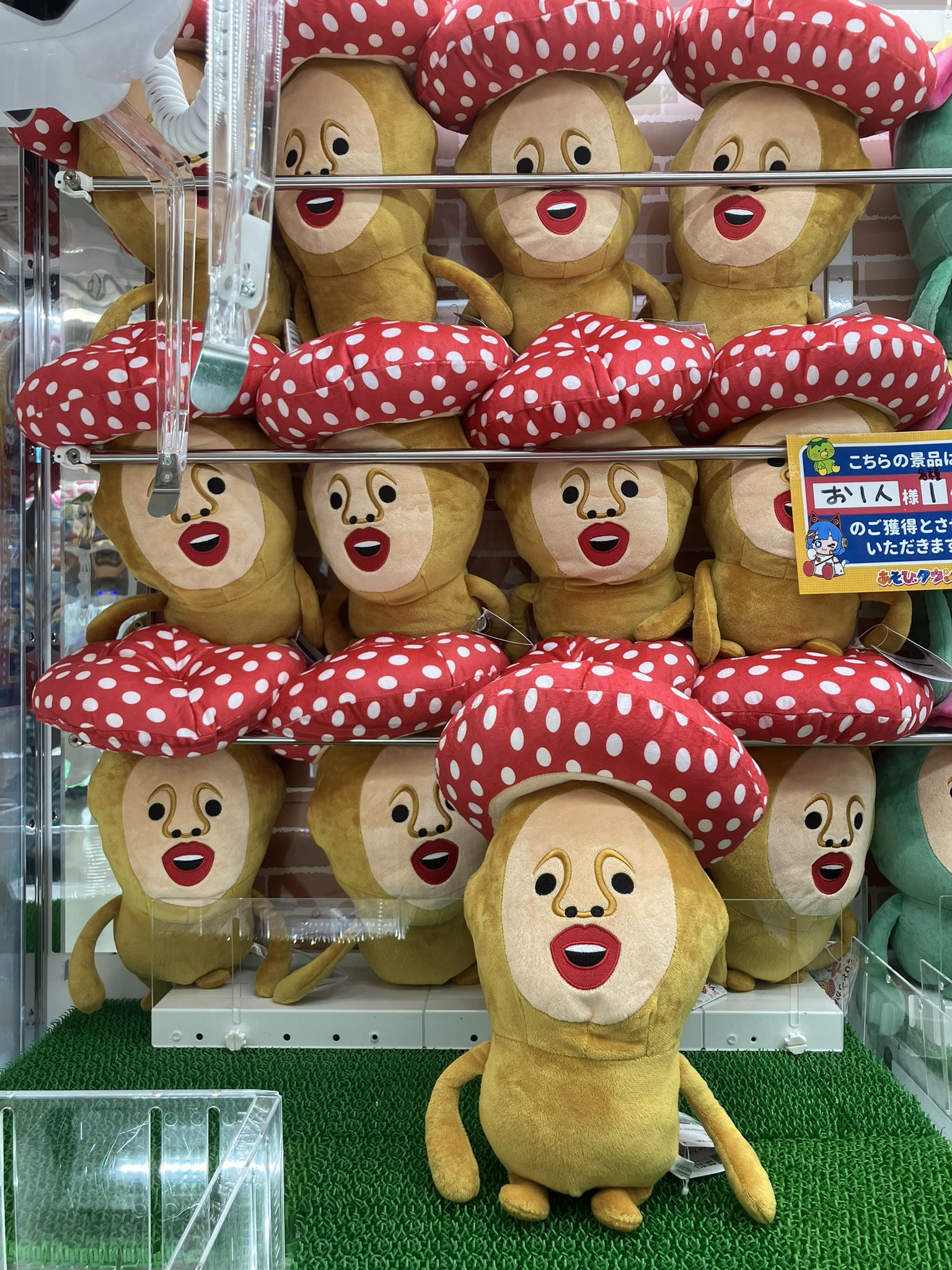 こびと図鑑 BIGぬいぐるみ2 こびとづかん BIG ぬいぐるみ 全2種