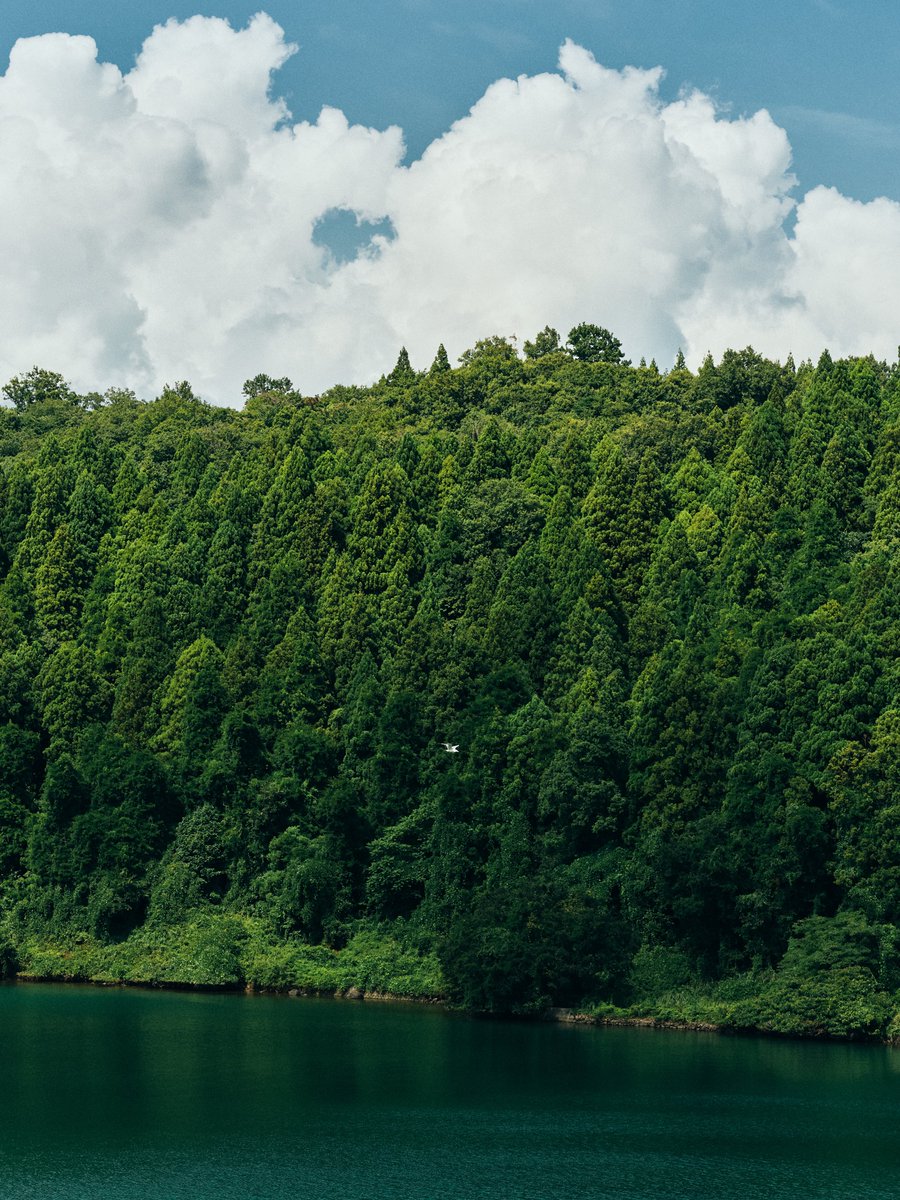 supersub_aka's tweet image. 夏を振り返る。