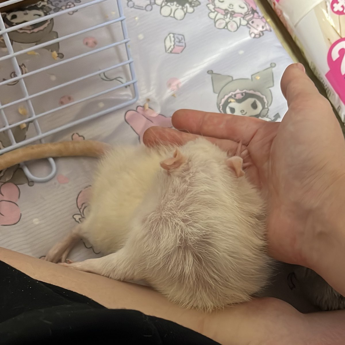 ちゃんと支えてて！