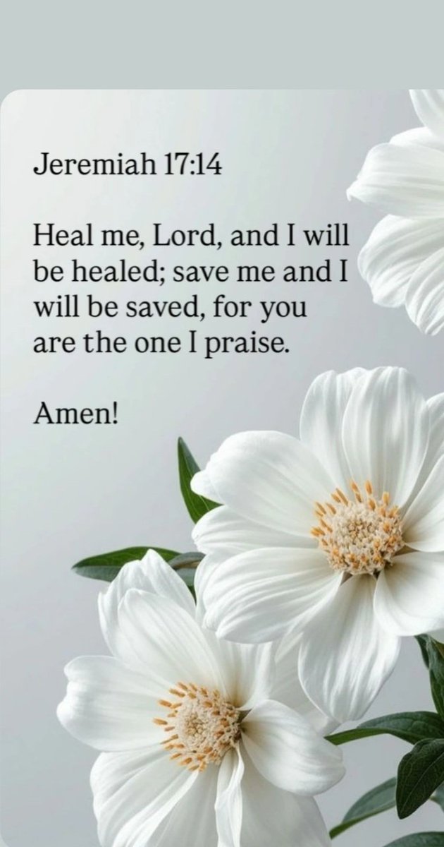 WONDERTIME 🇮🇹🇺🇸🇺🇸 tweet media