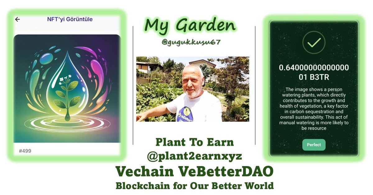 Growing plants isn't just a hobby. It's an investment that benefits both your soul and our planet. Get your hands dirty, grow something green, and make a difference.
<a href="/plant2earnxyz/">Plant To Earn</a> #VeBetterDAO #VeWorld #VeFam #vechain #Gardening #GardenTherapy #NatureHeals #SustainableLiving