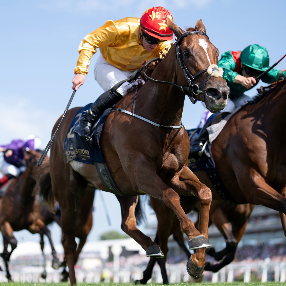 Racing Post tweet media