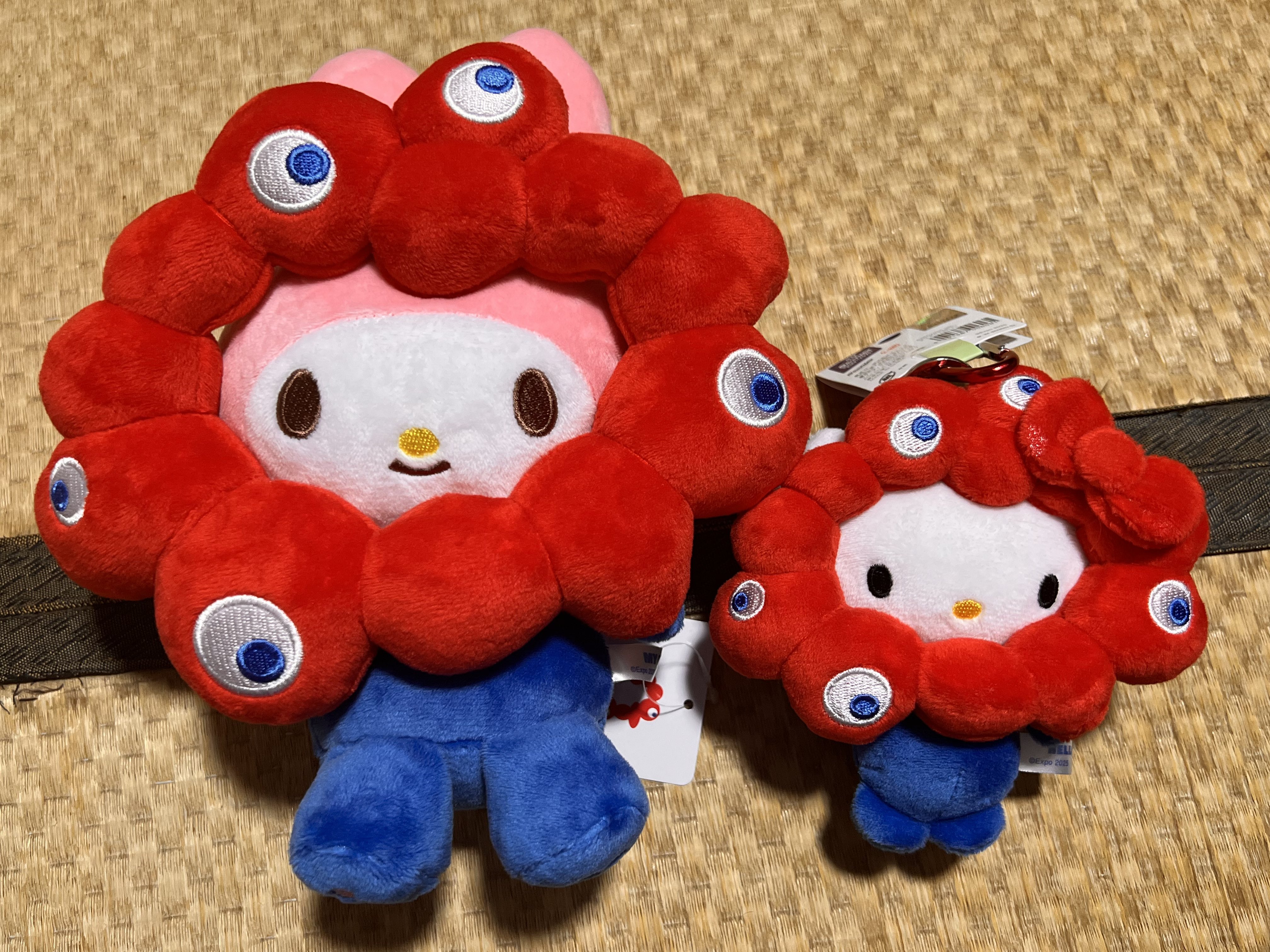 レディー キティちゃんティシュボックスとオマケマイメロぬいぐるみと紙袋 レディー キティちゃんティシュボックスとオマケマイメロ