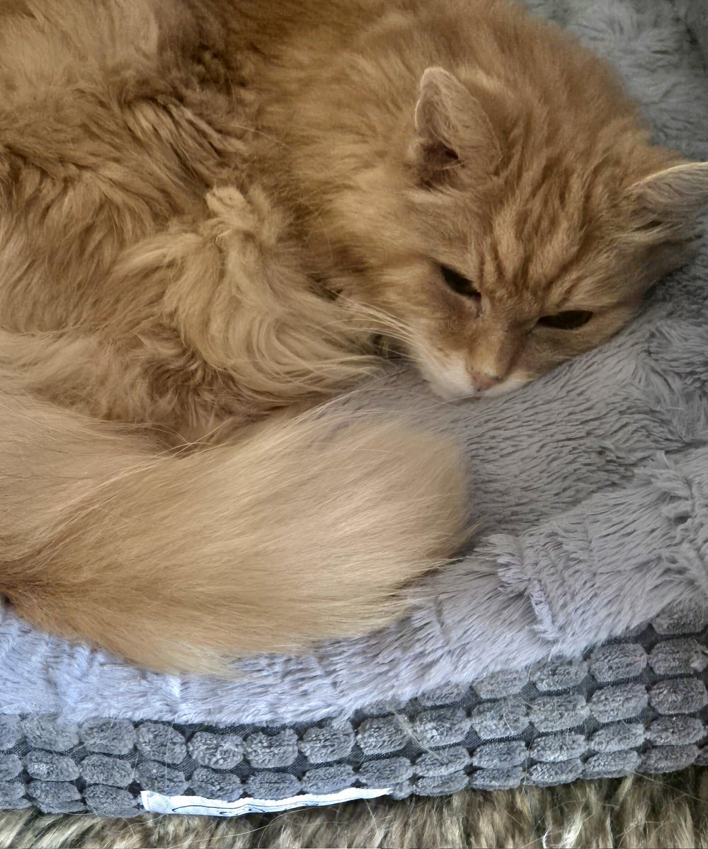 RED'S JEWELS tweet media