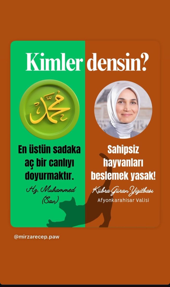 eyirkusss's tweet photo. #Hayvanlaradokunmayin#sokakhayvanlarisahipsizdegildir https://t.co/66yCvF2KHr