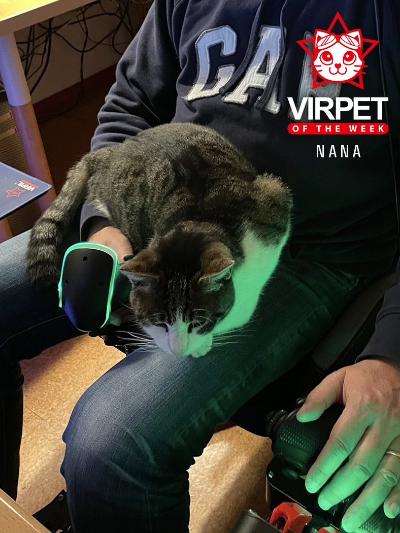 VIRPIL Controls tweet media