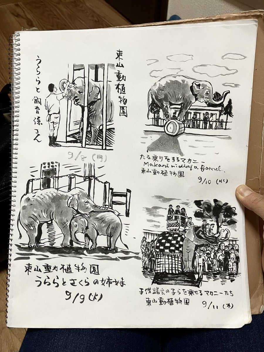 毎日ゾウを描いて整う個人的セラピー。
今週は東山動植物園今昔。 