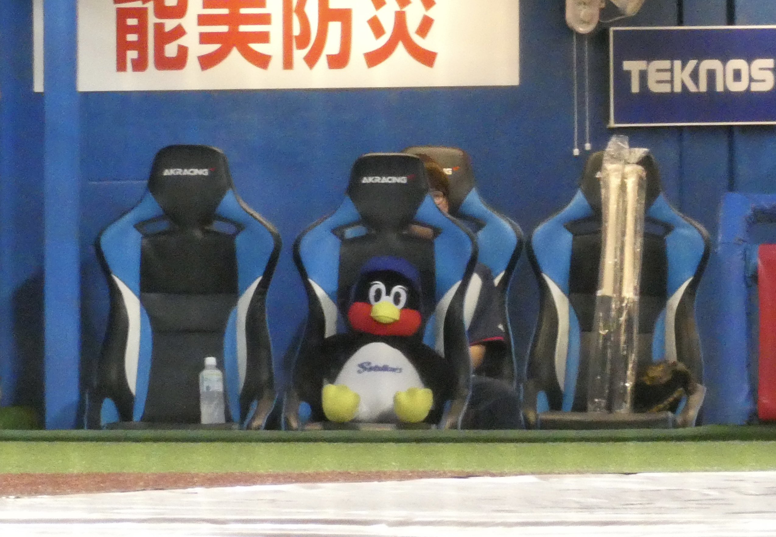 つば九郎さん専用です 赤ドアラ on X: 