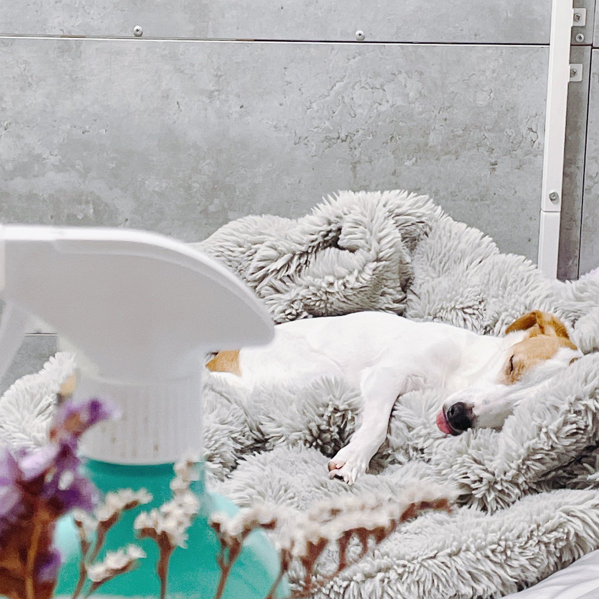 ウタマロは気にしないでください