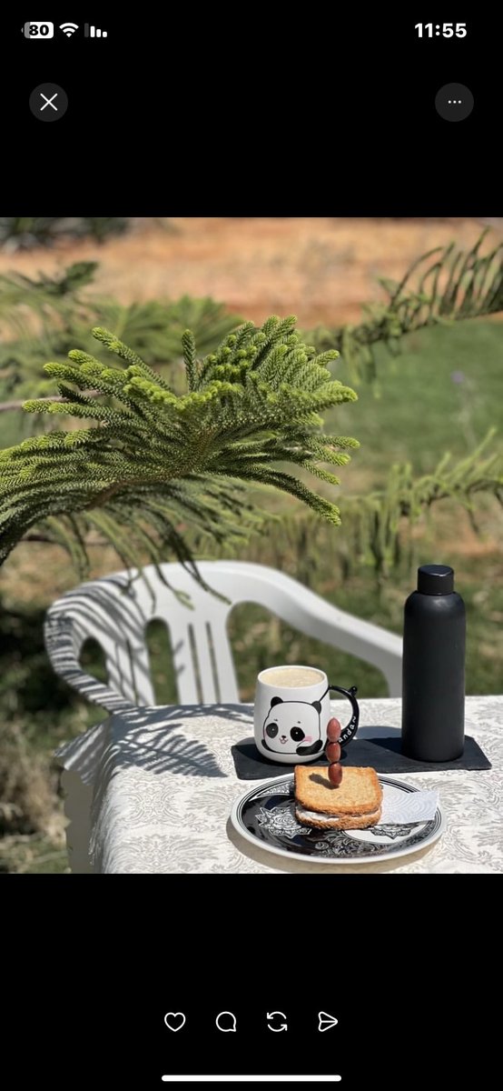 البُعد عن الناس مش توحد دا راحه نفسيا والله🤍✨