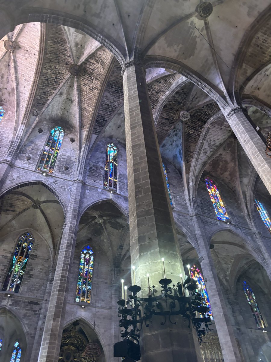 Palms 3 ☀️🤍🧡