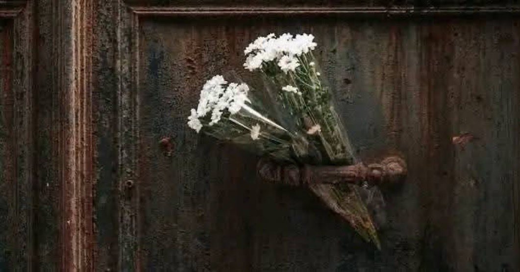 الأولويةُ لِمَن يُحِب جُذورنا،
أمَّا أزهَارُنا فالجميعُ يَراها...🤍