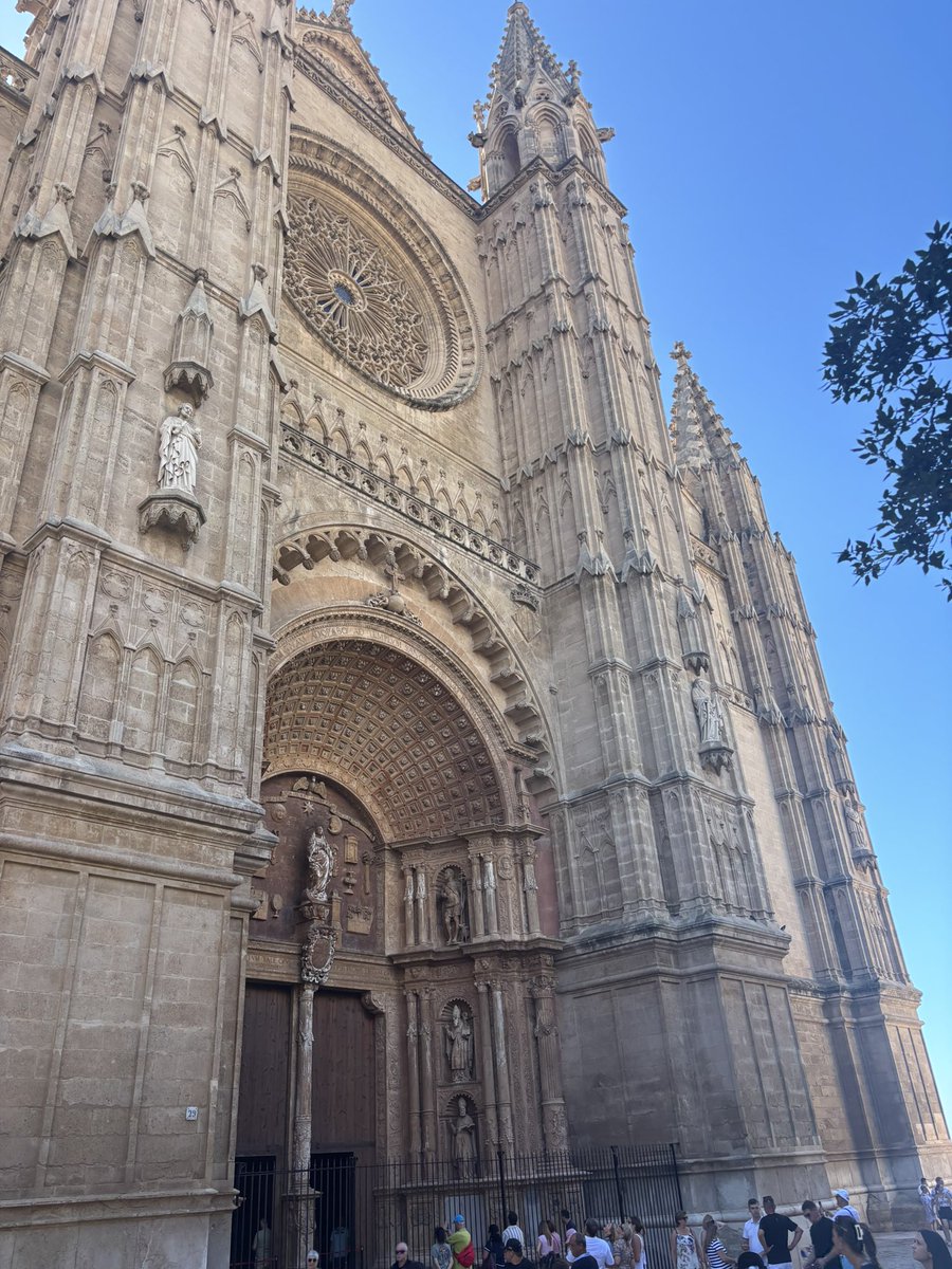 Palma ☀️🤍🧡