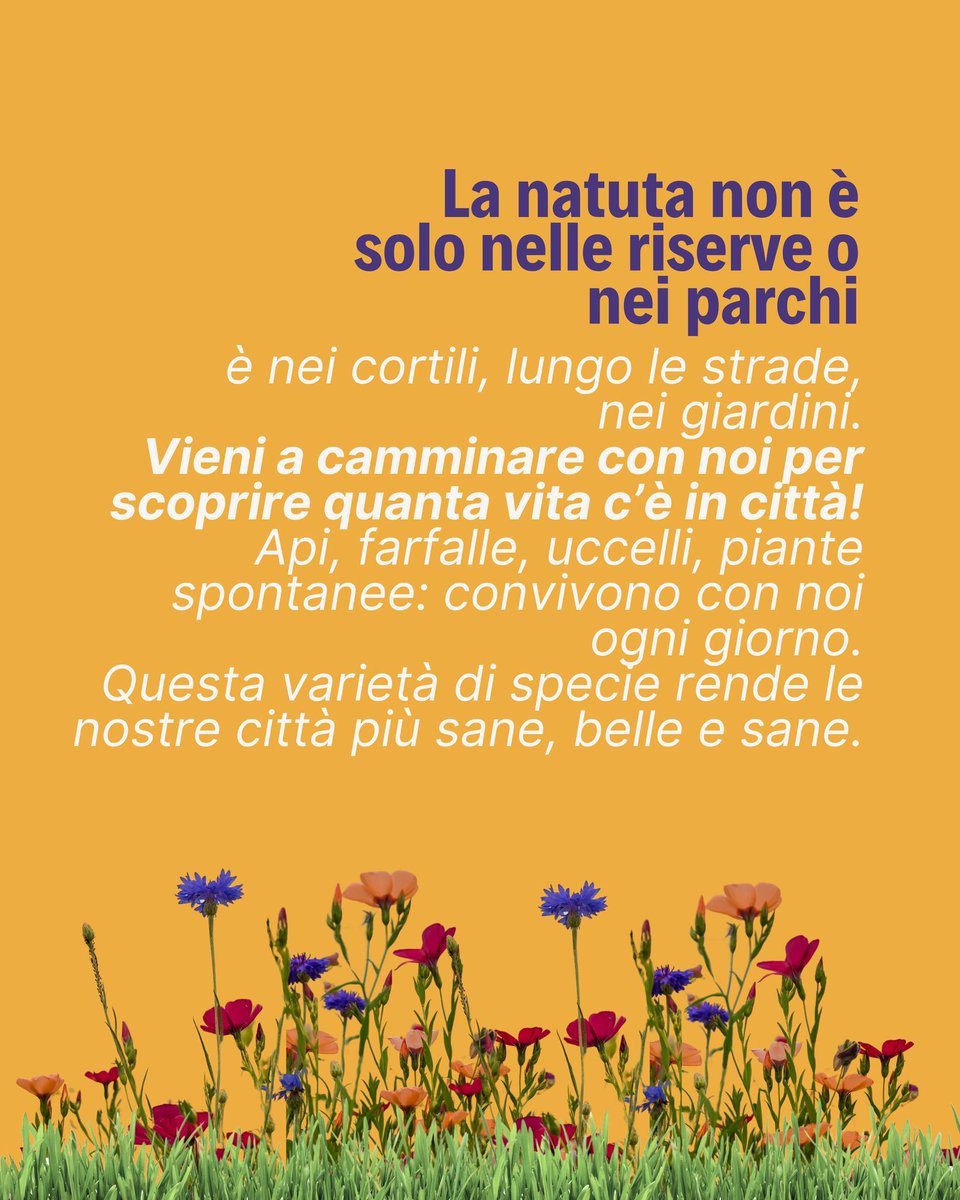 🌼🍃 Scopri la natura con occhi nuovi.
🚶‍♀️🚶 Un'esperienza adatta ai grandi e ai più piccoli.
📍La Camminata della #Biodiversità ti aspetta.
📆Novara – 21 settembre 2025. Segnalo in agenda!
🔖 Iscrizioni qui: bit.ly/camminata2025

#novarainerba #progetto #fondazionenovarese