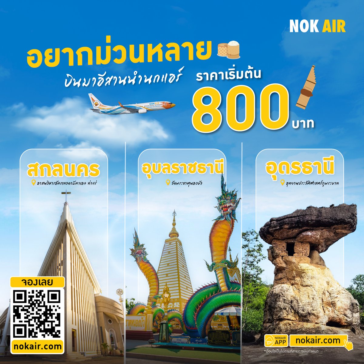 nokairlines tweet media