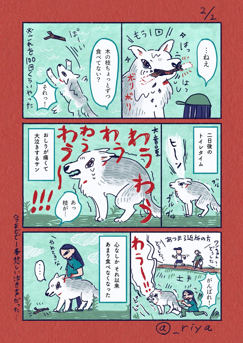 デカい狼犬との日常🐺   

「続•木の枝大好き」
  前回の続き、木の枝をとにかく食べたい犬と阻止したい人間との戦いです