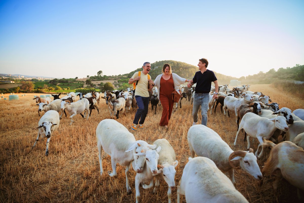 Espai Texas (@espaitexasbcn) on Twitter photo "Divertida, brillant, àgil i amb interpretacions formidables. Un altre èxit de Flyhard." va dir Imma Fernández a El Periódico sobre OVELLES.
🐑  Recuperem l'èxit de Yago Alonso i Carmen Marfà. Ara amb Ramon Pujol, Albert Triola i Gemma Martínez.
espaitexas.cat/espectacle/ove… "Divertida, brillant, àgil i amb interpretacions formidables. Un altre èxit de Flyhard." va dir Imma Fernández a El Periódico sobre OVELLES.
🐑  Recuperem l'èxit de Yago Alonso i Carmen Marfà. Ara amb Ramon Pujol, Albert Triola i Gemma Martínez.
espaitexas.cat/espectacle/ove…