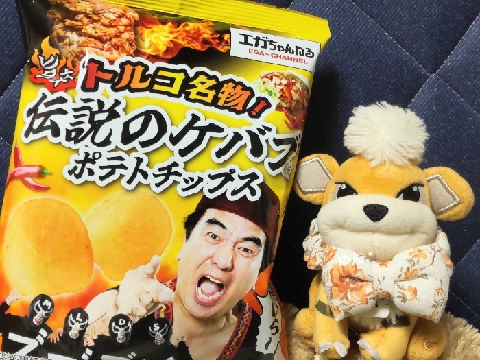 美味しかったね、こたろ😊
パパはぼちぼちって言ってたけど、、笑
#ポケモンfit