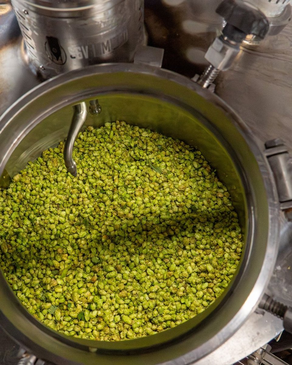 You picked &amp; you shared. Now it’s our turn 🔥🍺 

Thanks to everyone who picked and shared hops! The Community Fresh Hop beer is now in the tanks and officially underway. It’ll be pouring just in time for Cask Ale Week!

#CommunityFreshHop #LocallyGrown #Marlow #CaskAle #BrewDay