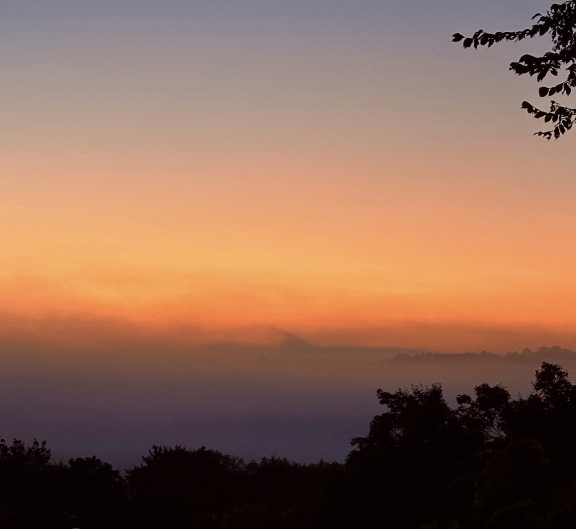 🌻 (@snflower500) on Twitter photo 