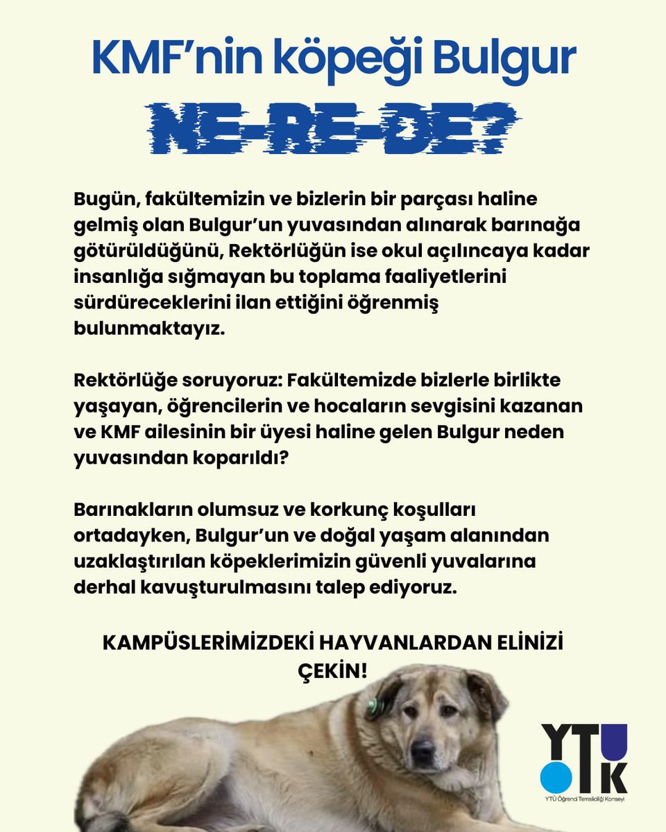 KAMPÜSLERİMİZDEKİ HAYVANLARDAN ELİNİZİ ÇEKİN!