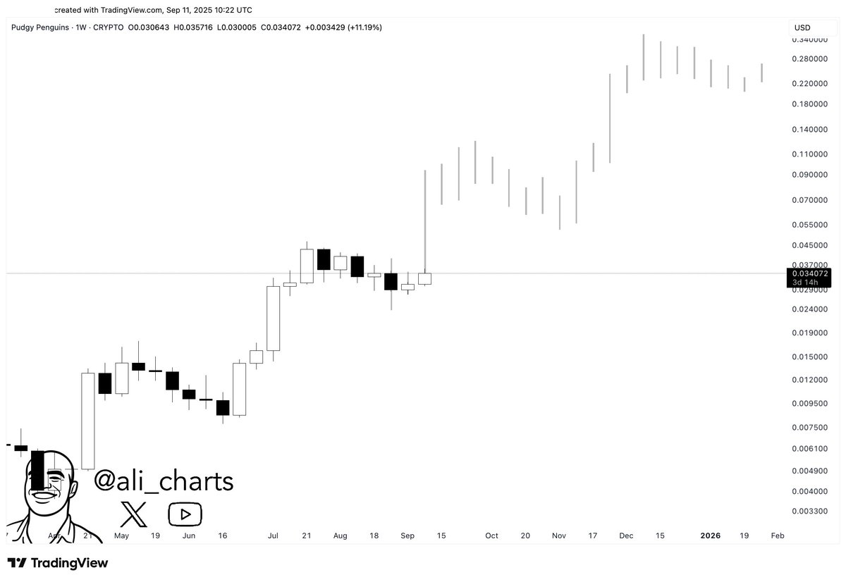 $PENGU keeps repeating the same pattern: explosion, pullback, explosion, pullback. After the recent pullback, another explosion is coming soon!