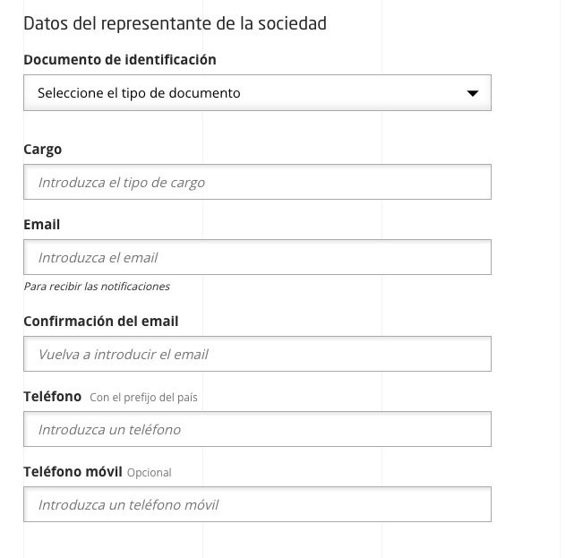 I think that <a href="/Registrador_es/">Registradores de España</a> website was designed to prevent anyone to actually access the data. I don't understand why they need so much personal information (including copy of my ID) just to sell me the public accounts of any company.  And nothing works well...
