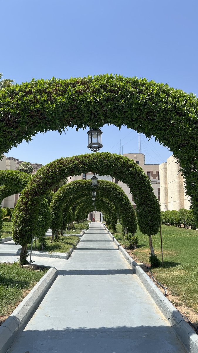 يوم ثري بالمعلومات بحضور نخبة من دكاتره العلاج الطبيعي 💗💗💗
في ندوة #الشيخوخة_الصحية 
بمناسبة #اليوم_العالمي_للعلاج_الطبيعي.