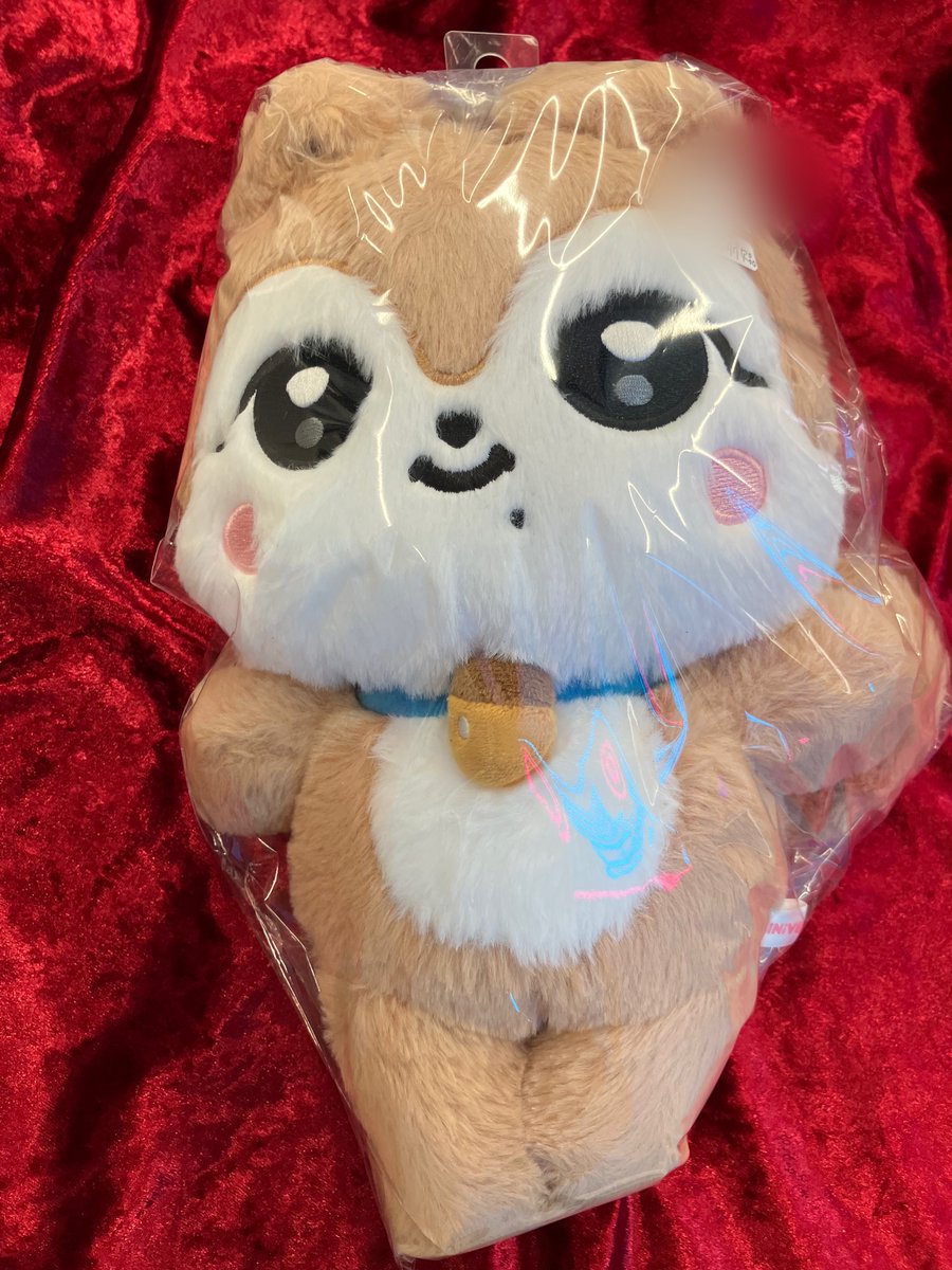 本日もご来店ありがとうございました🌈 明日は11時からオープンです