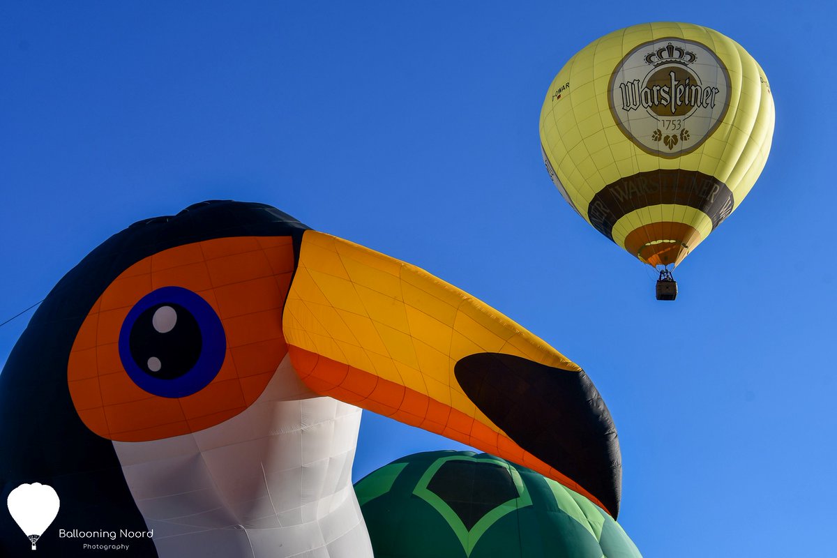 BallooningNoord's tweet photo. Warsteiner Internationale Montgolfiade!
Our last beautiful summer evening of 2025.
#Warstein #Summer https://t.co/vXv5WSJ6vH