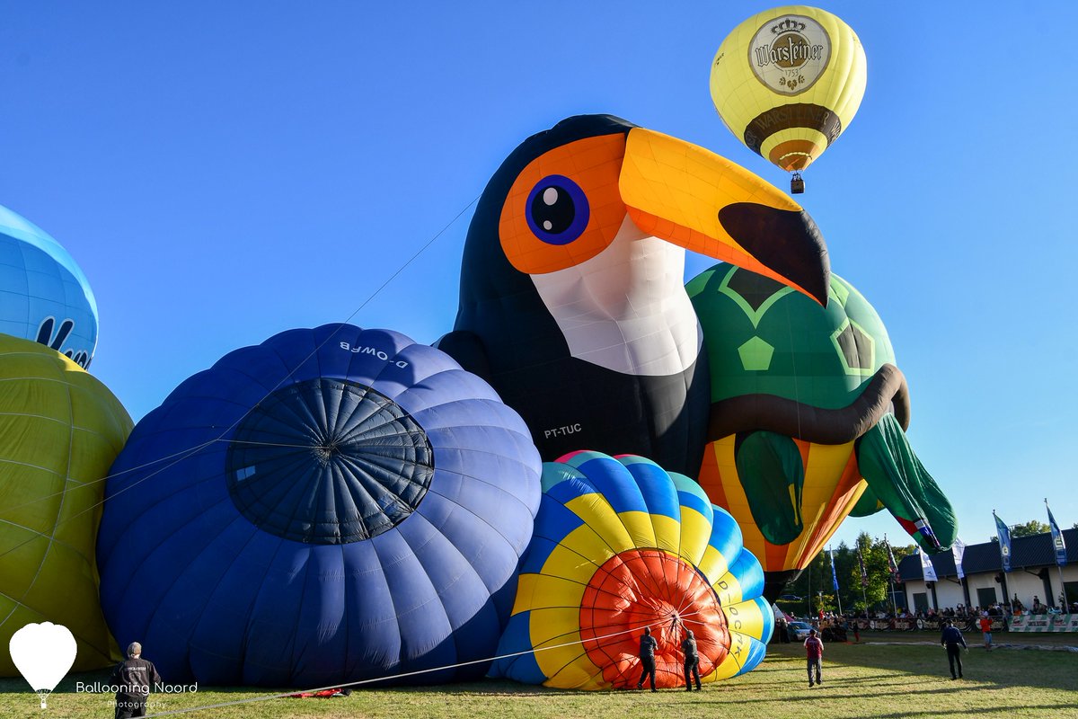 BallooningNoord's tweet photo. Warsteiner Internationale Montgolfiade!
Our last beautiful summer evening of 2025.
#Warstein #Summer https://t.co/vXv5WSJ6vH