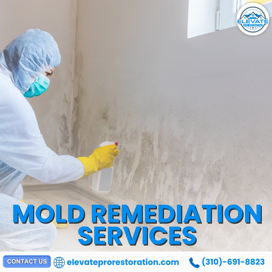 elev8pro's tweet photo. Mold remediation starts with containment, removal, and air purification. We eliminate mold at the source and fix moisture issues to ensure it doesn’t come back.
Protect your home today at https://t.co/Gq3fti8ZgO.

#MoldRemediation #HealthyHome #AirQuality https://t.co/KMVN15a0Ky